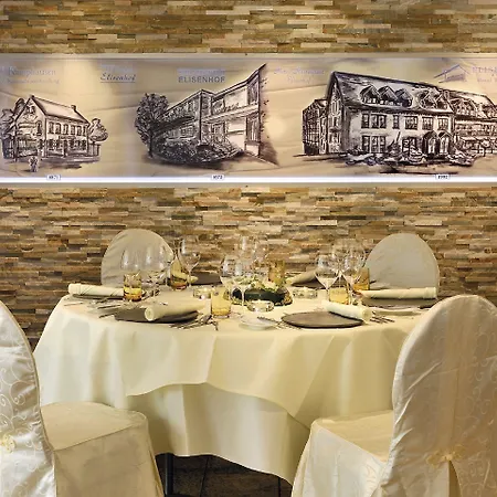 ホテル Elisenhof 4*